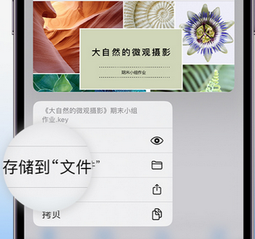 上虞apple维修中心分享iPhone文件应用中存储和找到下载文件