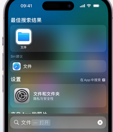 上虞apple维修中心分享iPhone文件应用中存储和找到下载文件 