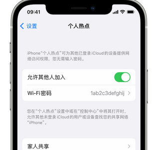 上虞apple服务站点分享iPhone上个人热点丢失了怎么办 