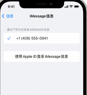 上虞apple维修iPhone上无法正常发送iMessage信息 