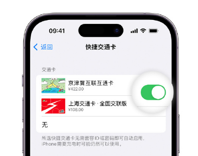 上虞apple维修点分享iPhone上更换Apple Pay快捷交通卡手绘卡面 