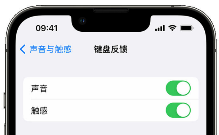 上虞苹果手机维修分享iPhone 14触感键盘使用方法 