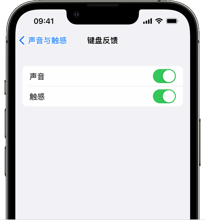 上虞苹果14维修店分享如何在 iPhone 14 机型中使用触感键盘 