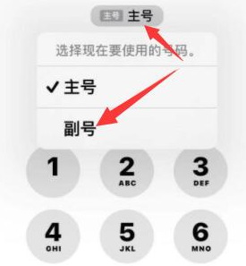 上虞苹果14维修店分享iPhone 14 Pro Max使用副卡打电话的方法 