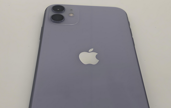 上虞苹果11系统维修分享iPhone11手机系统崩溃无法开机如何解决